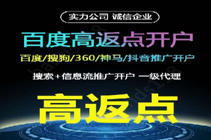 百度竞价赚钱秘诀：实战案例分析